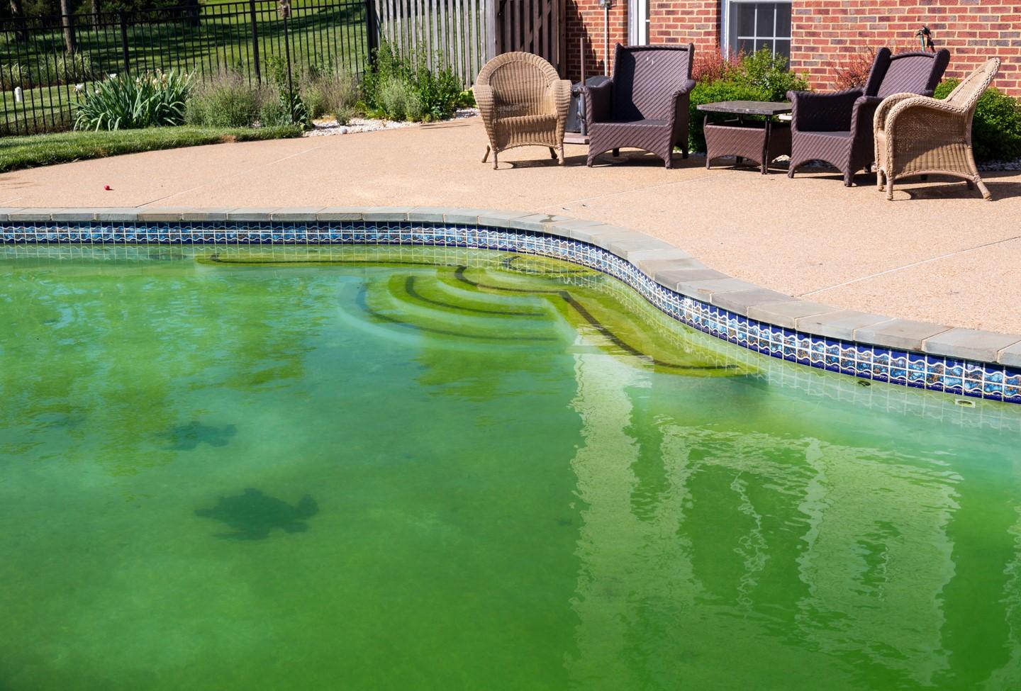 Recuperación de piscina